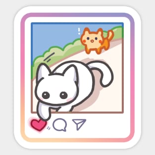 instagram like heart cat shocked Rat Sticker